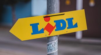 La provenienza di alcuni prodotti Lidl ti lascerà senza parole: la verità dietro la convenienza