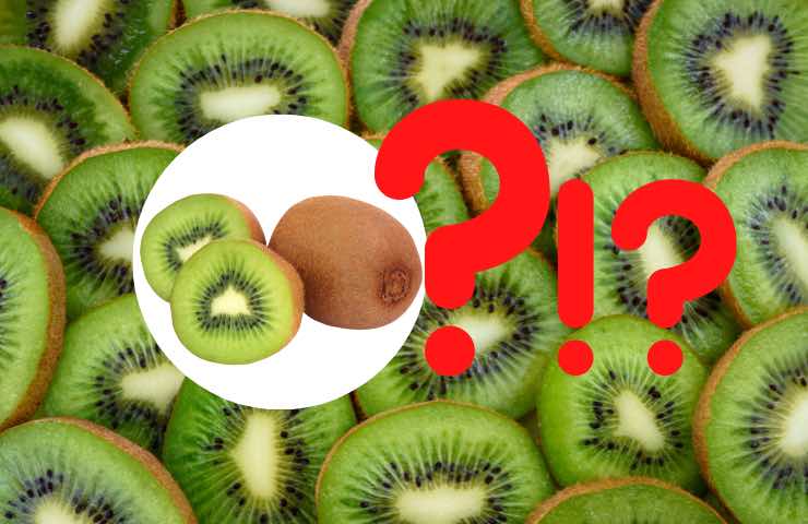 buccia kiwi commestibile 