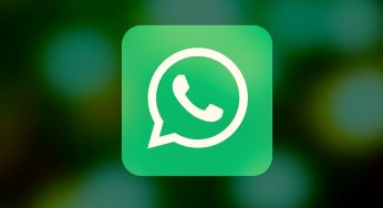 Whatsapp avvisa quando qualcuno si connette: la nuovissima funzione