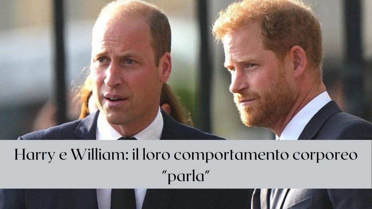 william harry comportamento corpo