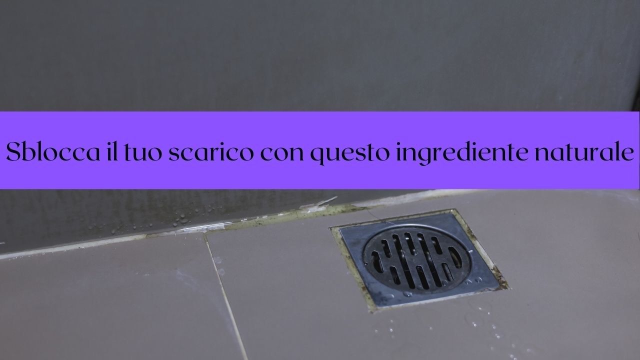 scarico soluzione ingrediente