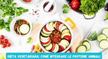 Dieta vegetariana: come integrare le proteine animali