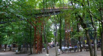 In Italia è presente un eco parco immerso nel bosco: dove si trova, e perché è tanto famoso